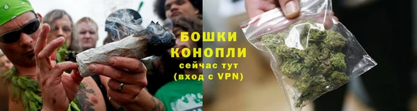 MESCALINE Осинники
