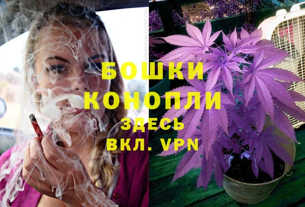 MESCALINE Осинники