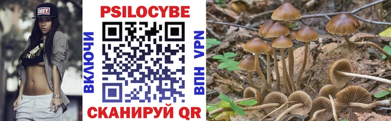 Псилоцибиновые грибы ЛСД  наркотики  Красный Кут 